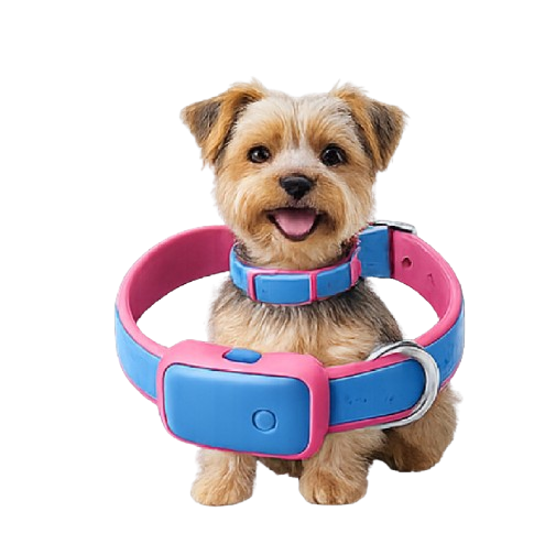 Coleira Pet